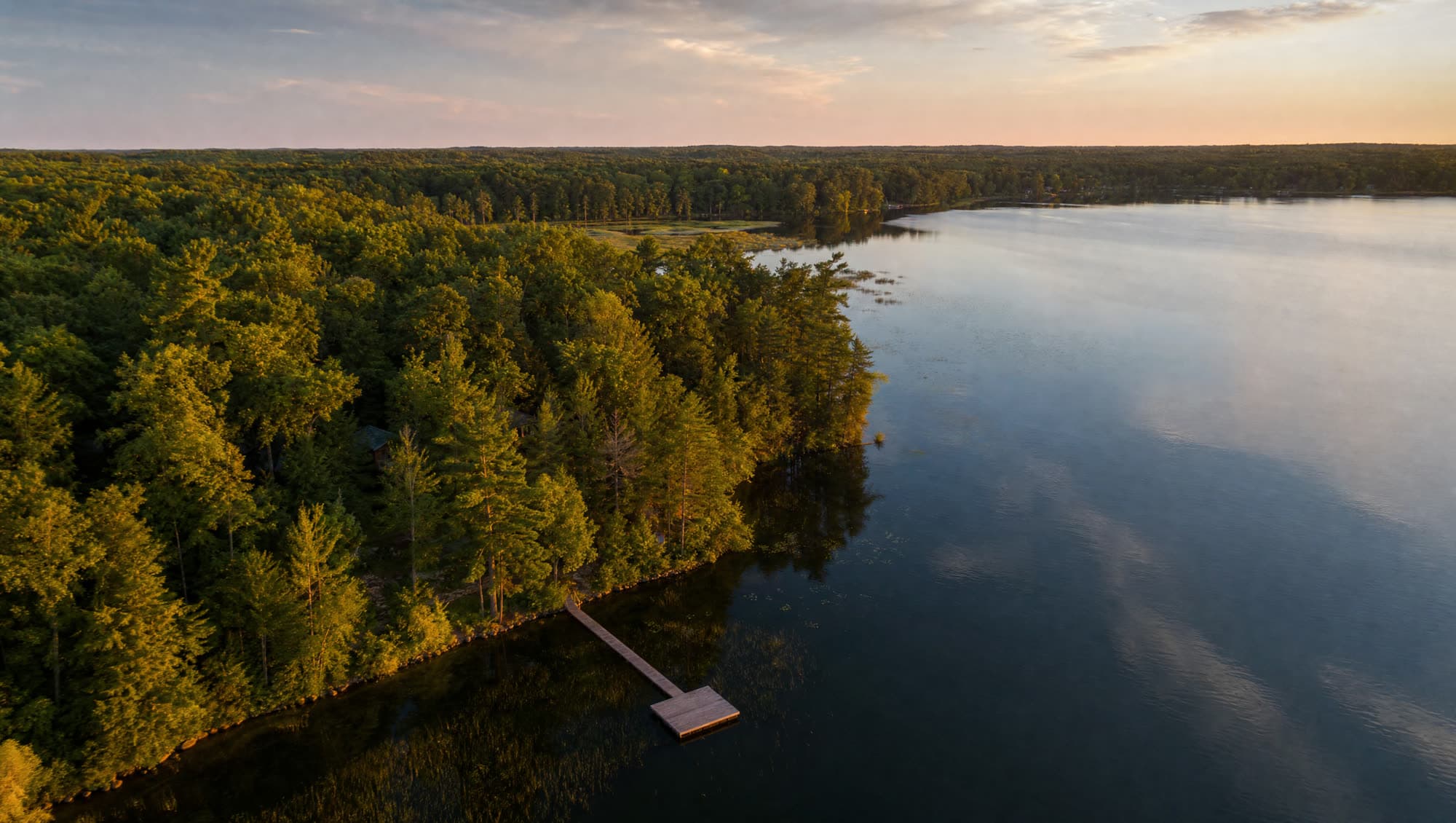 Wooded Michigan lakefront shoreline at dusk